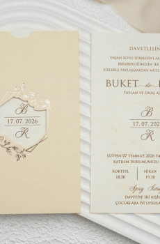 Elegant Quinceanera Invitations That Shine