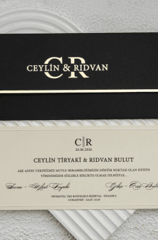 Your Story Starts Here Elegant Wedding Invitations