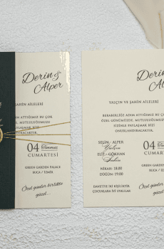 Designed To Delight Elegant Wedding Invitation Cards