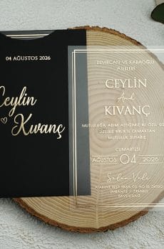 acrylic wedding invitations card and transparent quinceañera invitations with modern design
