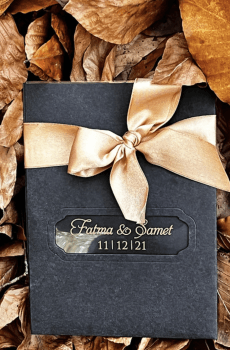 destination wedding transparent wedding invite featuring gold foil accents for weddings