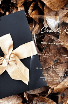 destination wedding transparent wedding invite featuring gold foil accents for weddings