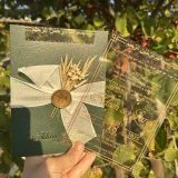 Personalized Frosted Invitation for Bridal shower