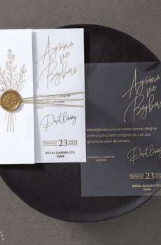 acrylic wedding invitations card and transparent quinceañera invitations with modern design