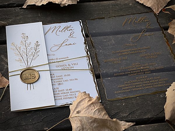 quinceañera invitations with premium finish and modern layout
