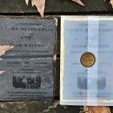 transparent wedding invitation with premium finish and modern layout